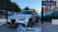 Alfa Romeo Stelvio 2.2TURBODIESEL 190CV AT8 Q4 SPRINT*24M.G.*CL19* Silber - thumbnail 1