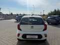 Kia Picanto Picanto III 2017 1.0 City Gpl Bianco - thumbnail 6