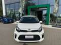 Kia Picanto Picanto III 2017 1.0 City Gpl Bianco - thumbnail 2