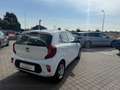Kia Picanto Picanto III 2017 1.0 City Gpl Bianco - thumbnail 5