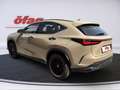 Lexus NX 350h E-Four Overtrail Aut. ACC+Navi+SD+SHZ+LM Beige - thumbnail 4