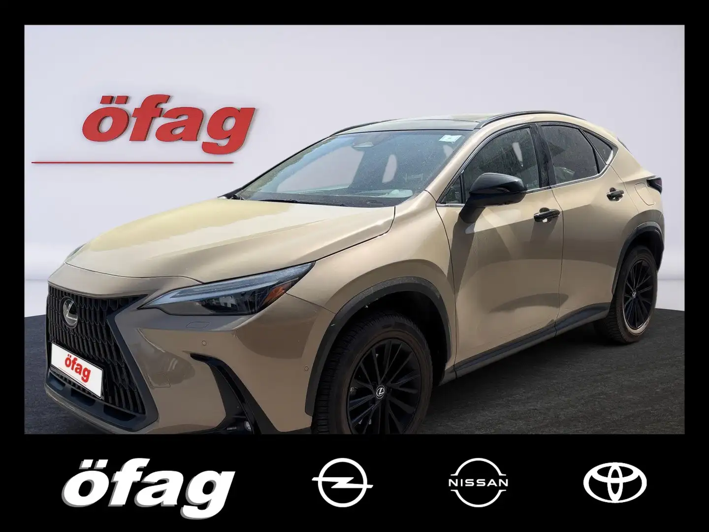 Lexus NX 350h E-Four Overtrail Aut. ACC+Navi+SD+SHZ+LM Beige - 1