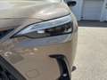 Lexus NX 350h E-Four Overtrail Aut. ACC+Navi+SD+SHZ+LM Beige - thumbnail 9