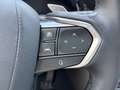 Lexus NX 350h E-Four Overtrail Aut. ACC+Navi+SD+SHZ+LM Beige - thumbnail 14