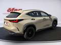 Lexus NX 350h E-Four Overtrail Aut. ACC+Navi+SD+SHZ+LM Beige - thumbnail 6