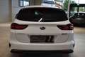 Kia Ceed SW / cee'd SW Gold 1,6 CRDI 48V Weiß - thumbnail 10