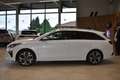 Kia Ceed SW / cee'd SW Gold 1,6 CRDI 48V Weiß - thumbnail 5