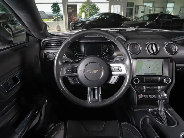Ford Mustang view 12