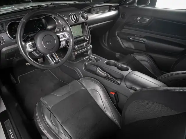 Ford Mustang view 10
