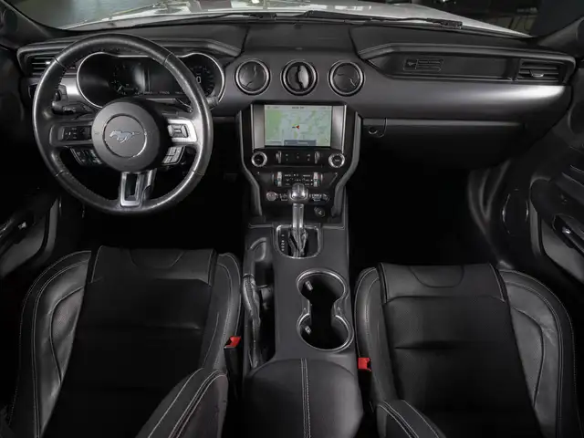 Ford Mustang view 13
