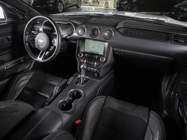 Ford Mustang view 15