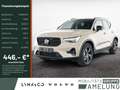 Volvo XC40 B3 Plus Dark FACEL. LED KAMERA H/K 360° Beige - thumbnail 1