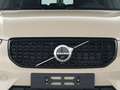 Volvo XC40 B3 Plus Dark FACEL. LED KAMERA H/K 360° Beige - thumbnail 2