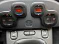 Fiat Panda Cross 1.0 Hybrid solo 59.000 km (vedi NOTE) Grau - thumbnail 18