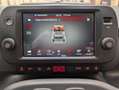 Fiat Panda Cross 1.0 Hybrid solo 59.000 km (vedi NOTE) Grau - thumbnail 15