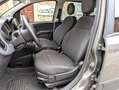 Fiat Panda Cross 1.0 Hybrid solo 59.000 km (vedi NOTE) Grau - thumbnail 12