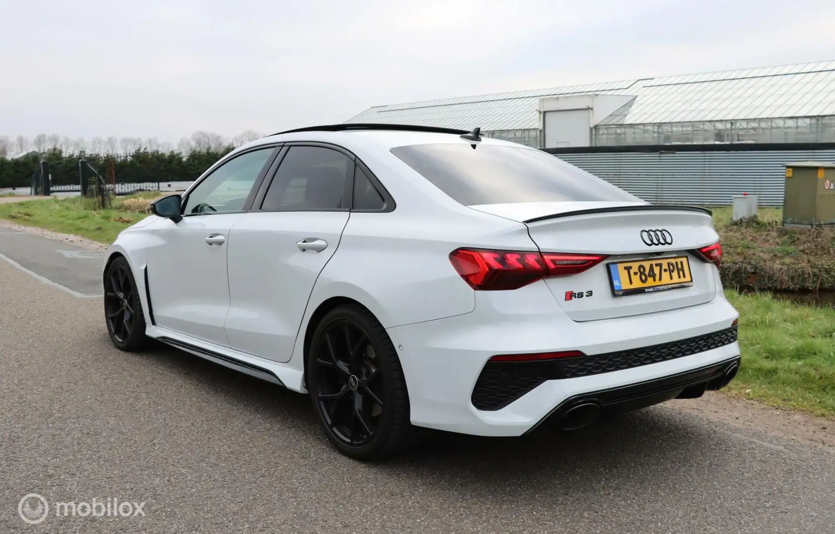 Audi RS3 2.5 TFSI Quattro / Pano / B&O / Leder / Sfeer Blanc - 2