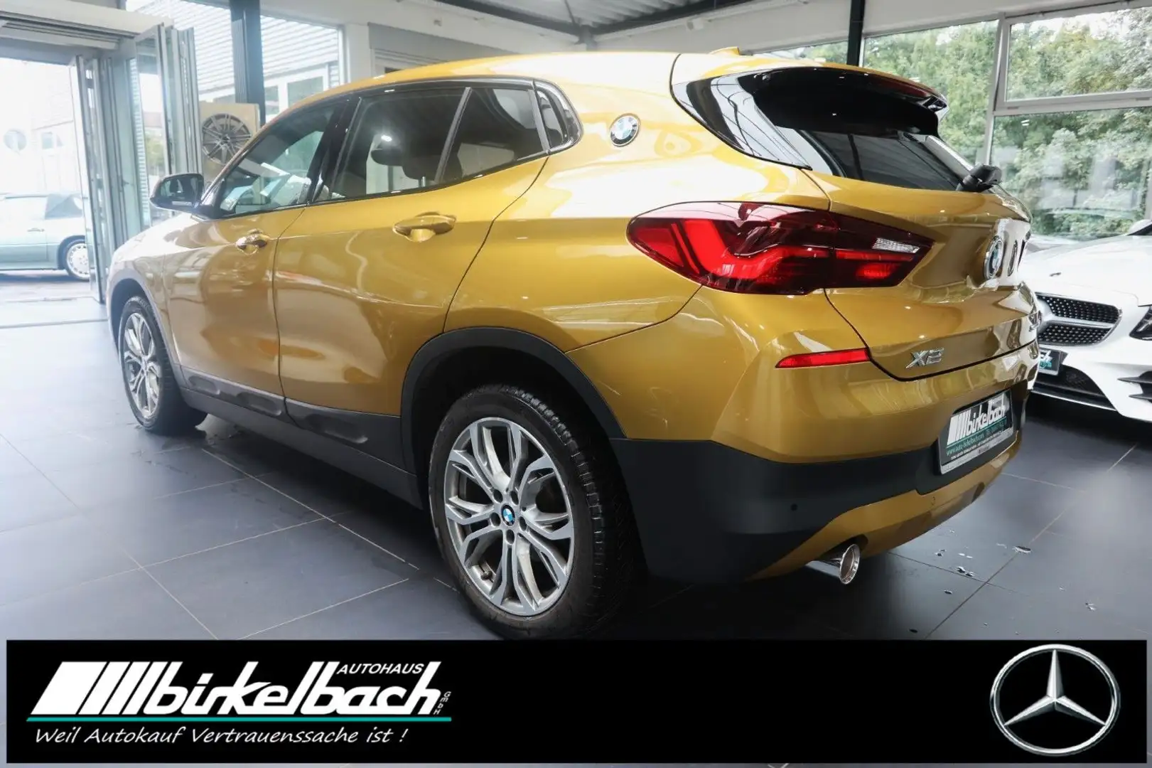 BMW X2 sDrive 18 i Aut. Advantage Plus LED Race Shad Goud - 2