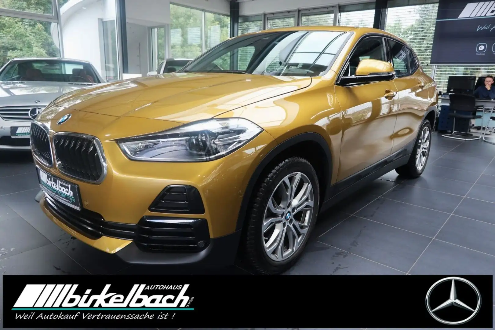 BMW X2 sDrive 18 i Aut. Advantage Plus LED Race Shad Goud - 1