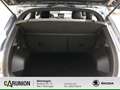 DFSK Fengon 500 Comfort 1,5 MT 5-Gang R.Kamera Grau - thumbnail 11