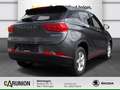 DFSK Fengon 500 Comfort 1,5 MT 5-Gang R.Kamera Grau - thumbnail 4