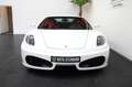 Ferrari F430 F1/HISTORIE/CARBON/KERAMIK/BOSE Blanc - thumbnail 3