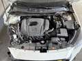 Mazda 2 1.5 m-hybrid NETTO 6800 Centre-Line 90cv Bianco - thumbnail 9