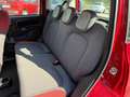 Fiat Panda Panda III 1.2 Pop 69cv Rosso - thumbnail 8