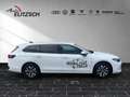 Volkswagen Passat TSI Business DSG LED ACC Navi HUD AID Park-Assi... Weiß - thumbnail 8