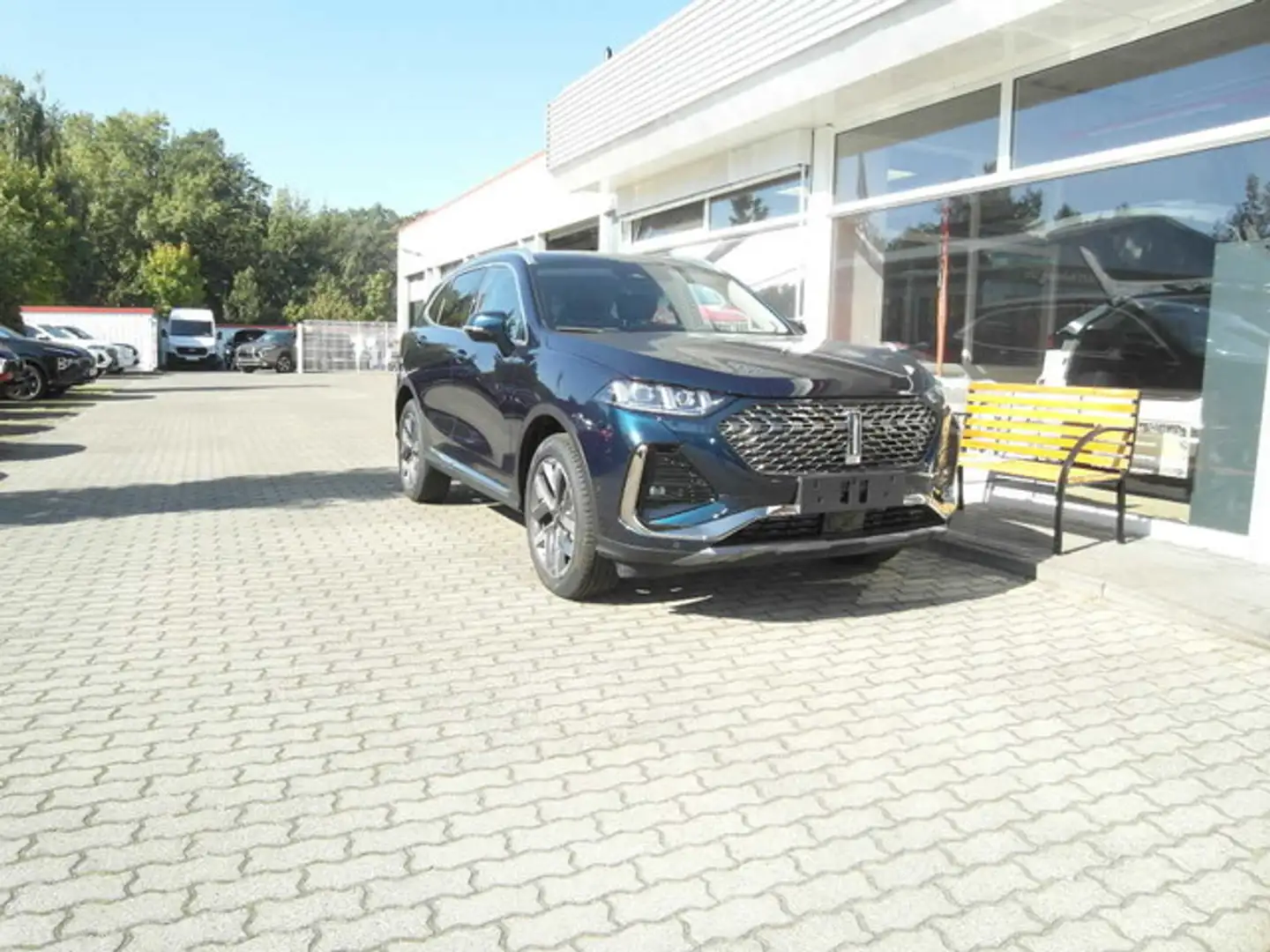 GWM WEY 03 Luxury Blau - 1