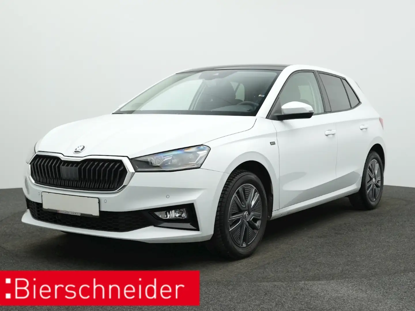 Skoda Fabia 1.0 TSI DSG Selection PANO KAMERA NAVI ACC Weiß - 1