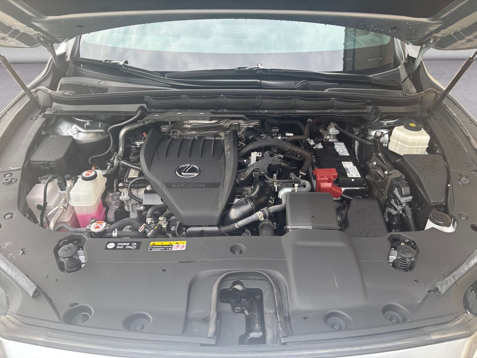 used 2024 Lexus RX car, priced at $49,937