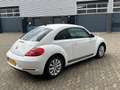 Volkswagen Beetle 1.2 TSI Design, Stoelverw. Apple Carplay, Parkeers Wit - thumbnail 3