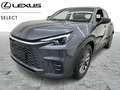 Lexus LBX Base + Comfort & Safety Pack Grau - thumbnail 1