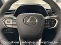 Lexus LBX Base + Comfort & Safety Pack Grau - thumbnail 30