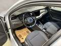 Skoda Octavia Ambition 4x4 Silber - thumbnail 14