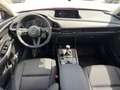 Mazda CX-30 e-Skyactive G140 Prime-Line Rot - thumbnail 8