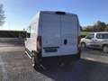 Citroen Jumper l2h2 140pk 2024 28000km dubbel/cabine 25950e ex Blanc - thumbnail 13