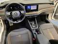 Skoda Octavia Combi Scout 2.0 TDI 4x4 DSG ACC Weiß - thumbnail 8