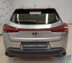 Lexus UX 250h UX Hybrid 4WD Business Gris - thumbnail 11