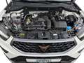 CUPRA Ateca 1.5 TSI DSG LED NAVI 19'' ACC REAR VIEW SHZ KESSY Weiß - thumbnail 9