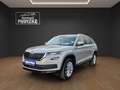 Skoda Kodiaq 2.0TDI DSG Style 4x4 / SHZ / Canton / AHK Szary - thumbnail 1