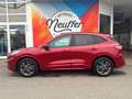 Ford Kuga ST-Line X/Panoschiebedach/Styling-Paket Rot - thumbnail 4