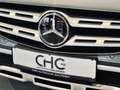 Mercedes-Benz E 400 d 4M All-Terrain 360*|ACC|MULTIBEAM|WIDESCREEN Grau - thumbnail 37
