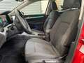 Volkswagen Golf VIII 1.0TSI DSG Life ACC LED Navi PDC Sitzh Rot - thumbnail 12