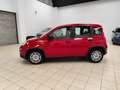 Fiat Panda 1.0 FireFly S&S Hybrid Rouge - thumbnail 10
