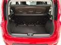 Fiat Panda 1.0 FireFly S&S Hybrid Rouge - thumbnail 12