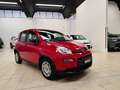 Fiat Panda 1.0 FireFly S&S Hybrid Rouge - thumbnail 3