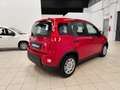 Fiat Panda 1.0 FireFly S&S Hybrid Rouge - thumbnail 7