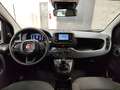 Fiat Panda 1.0 FireFly S&S Hybrid Rouge - thumbnail 14